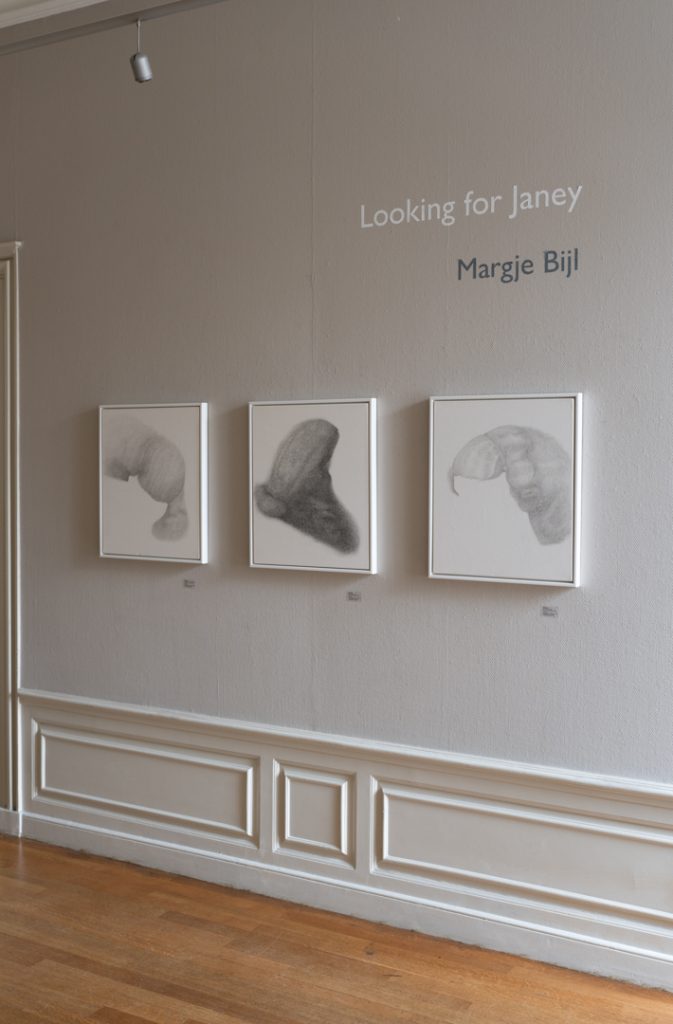 overview exhibition with pencil drawings depicting Jane Morris's hair