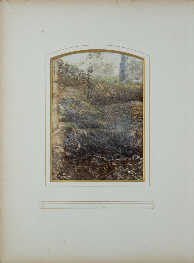 drawing with ink on an antique photo, little girls have been replaced by branches, only one shoe is still visible