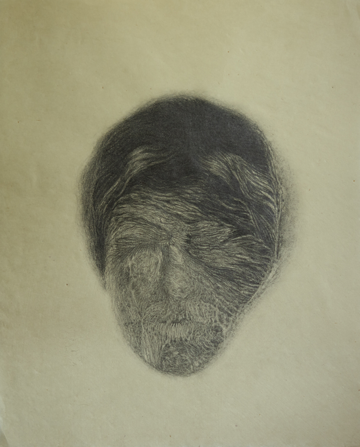 pencil drawing on yellowish Japanese paper, head of a woman with lines running trough her face, organic touch